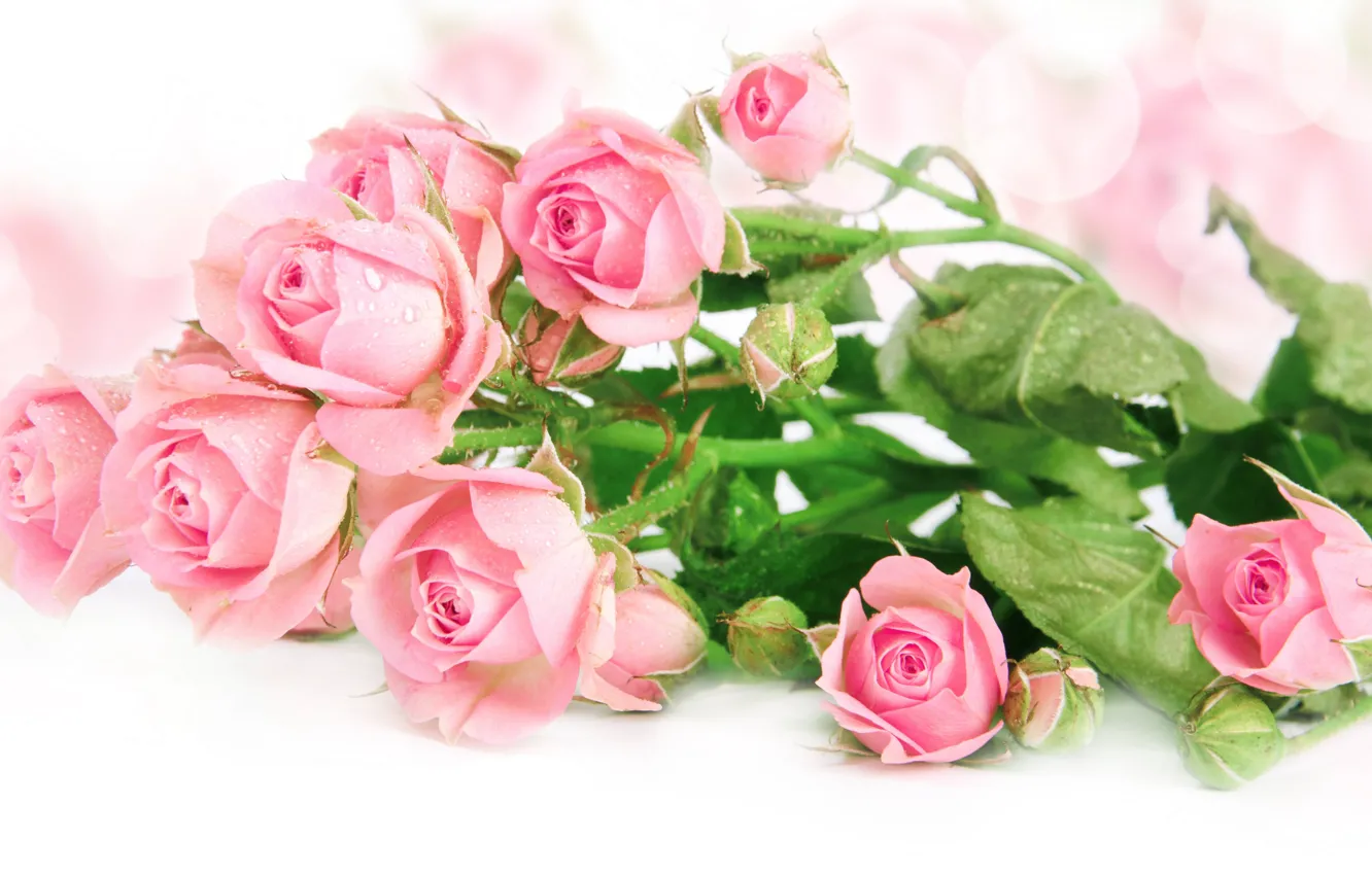 Photo wallpaper flowers, roses, bouquet, petals, pink, buds, decor, composition