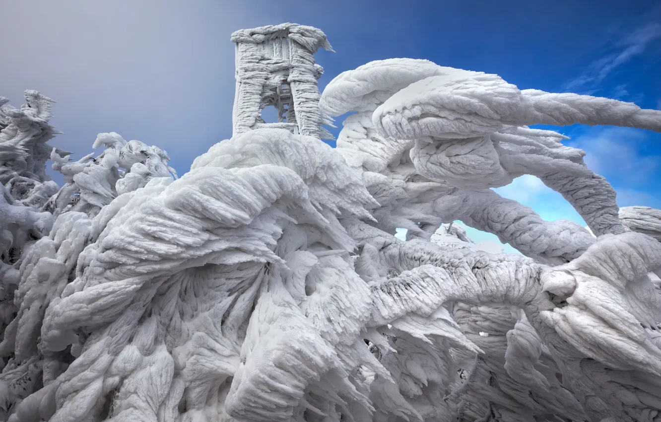 Photo wallpaper ice, winter, the sky, snow, branches, blue, lighthouse, icicles