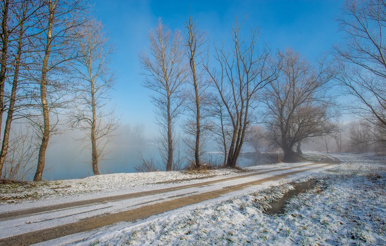 Photo wallpaper road, snow, trees, lake