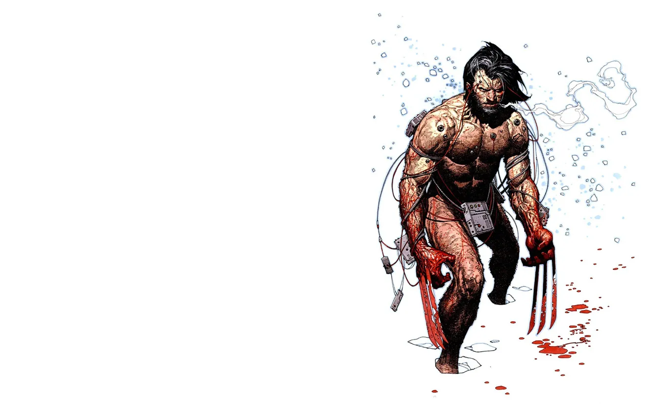 Photo wallpaper winter, snow, blood, claws, Wolverine, Logan, Wolverine, Logan