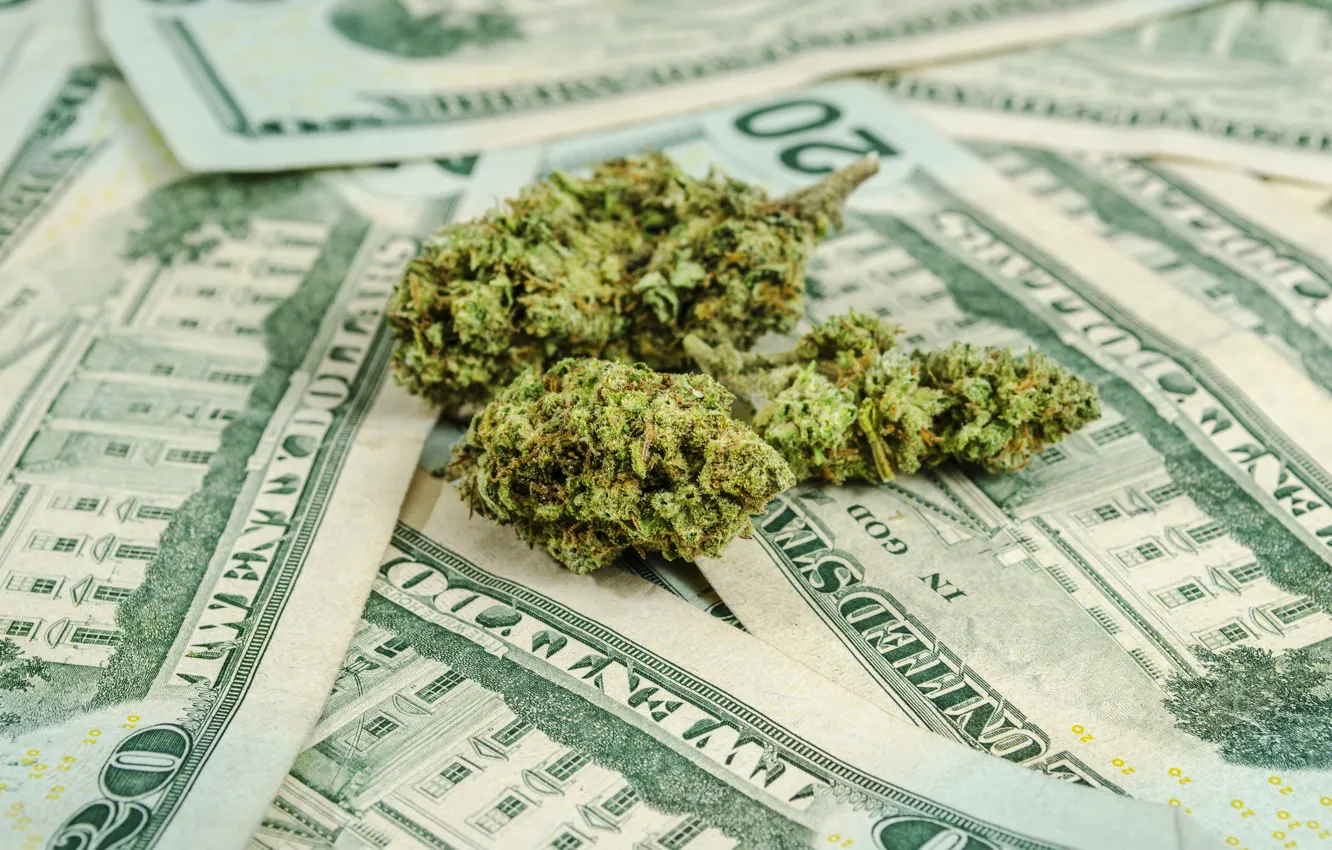 Photo wallpaper money, dollars, marijuana, illegal business