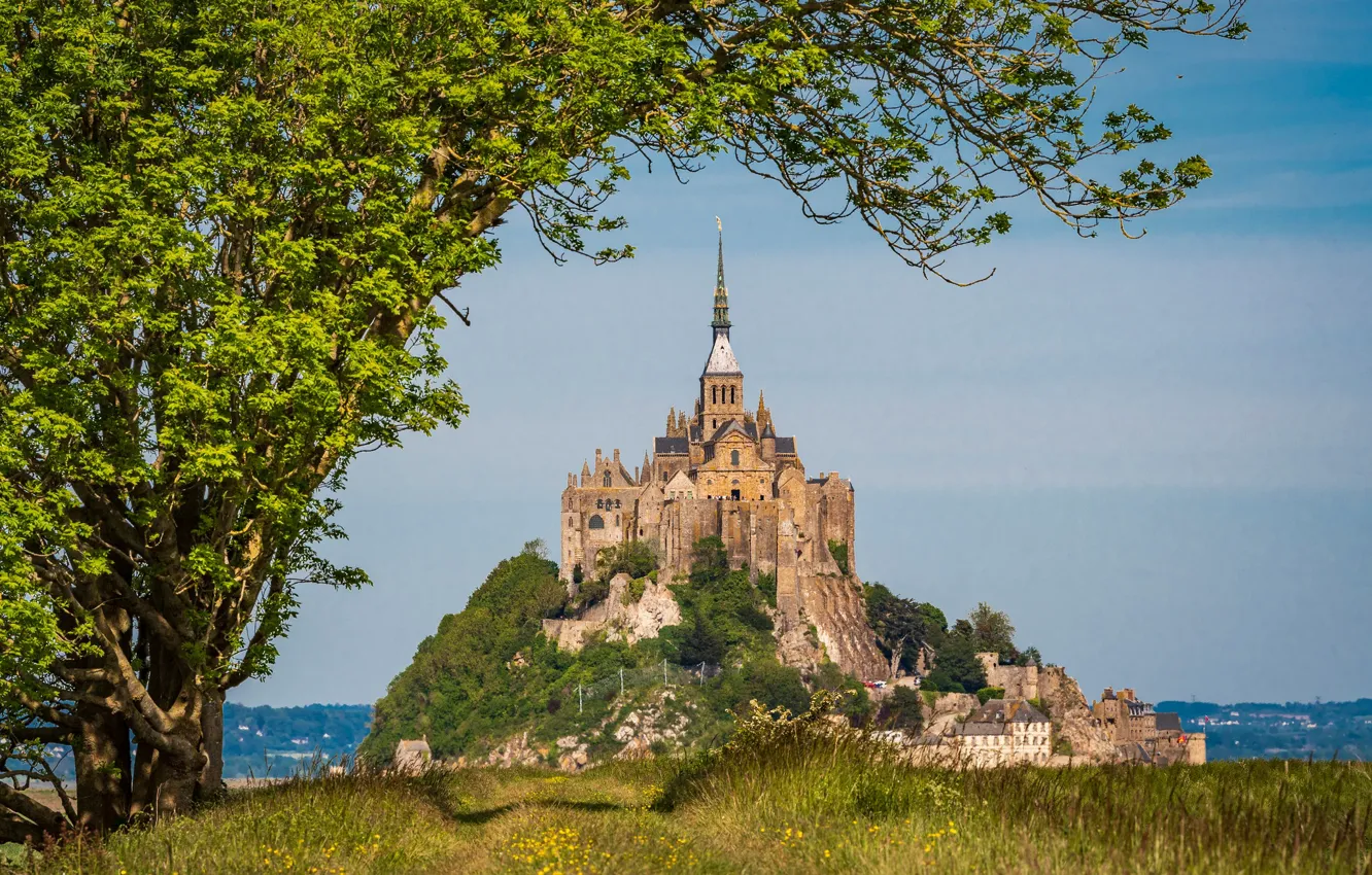 Photo wallpaper trees, rock, France, fortress, France, Normandy, Normandy, Mont-Saint-Michel