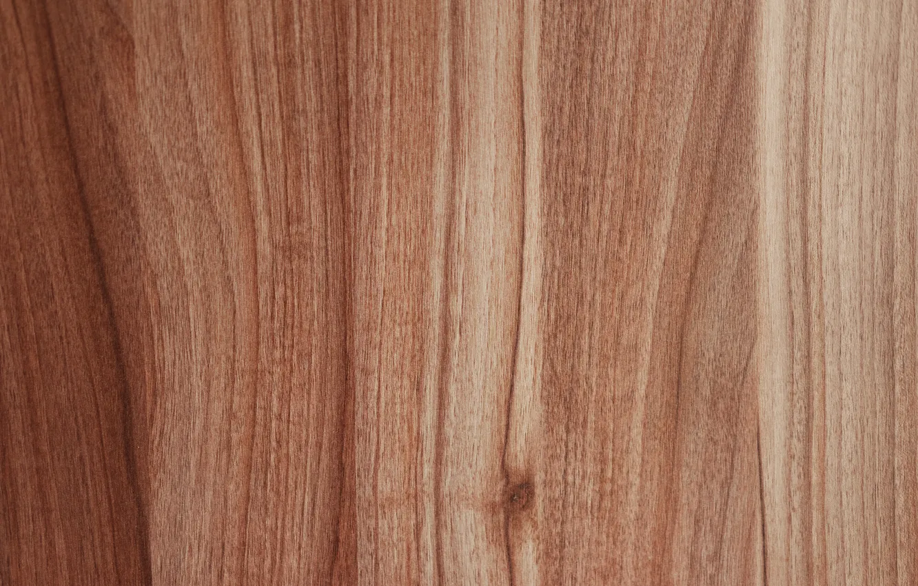 Photo wallpaper wall, wood, pattern