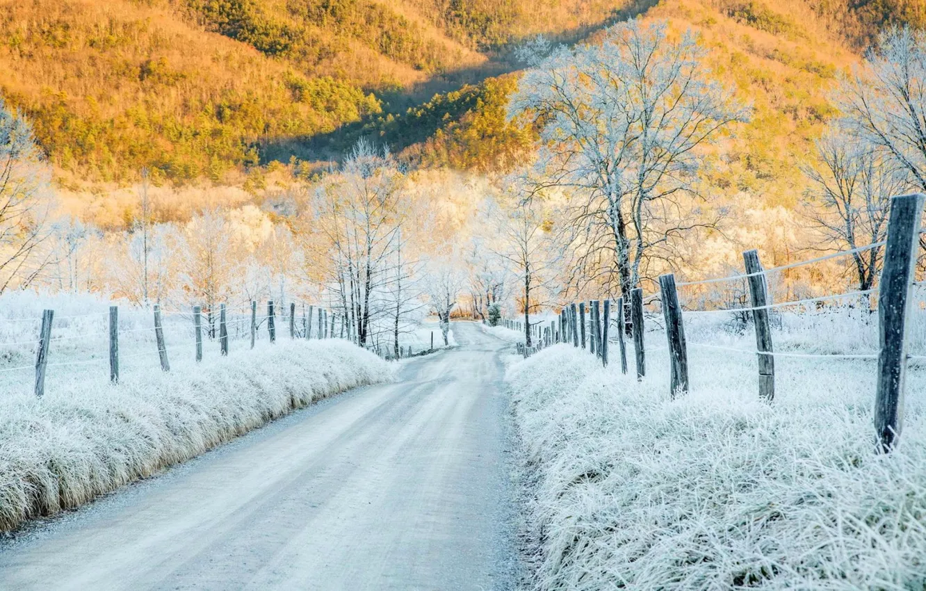 Photo wallpaper winter, road, forest, the sky, snow, trees, landscape, nature