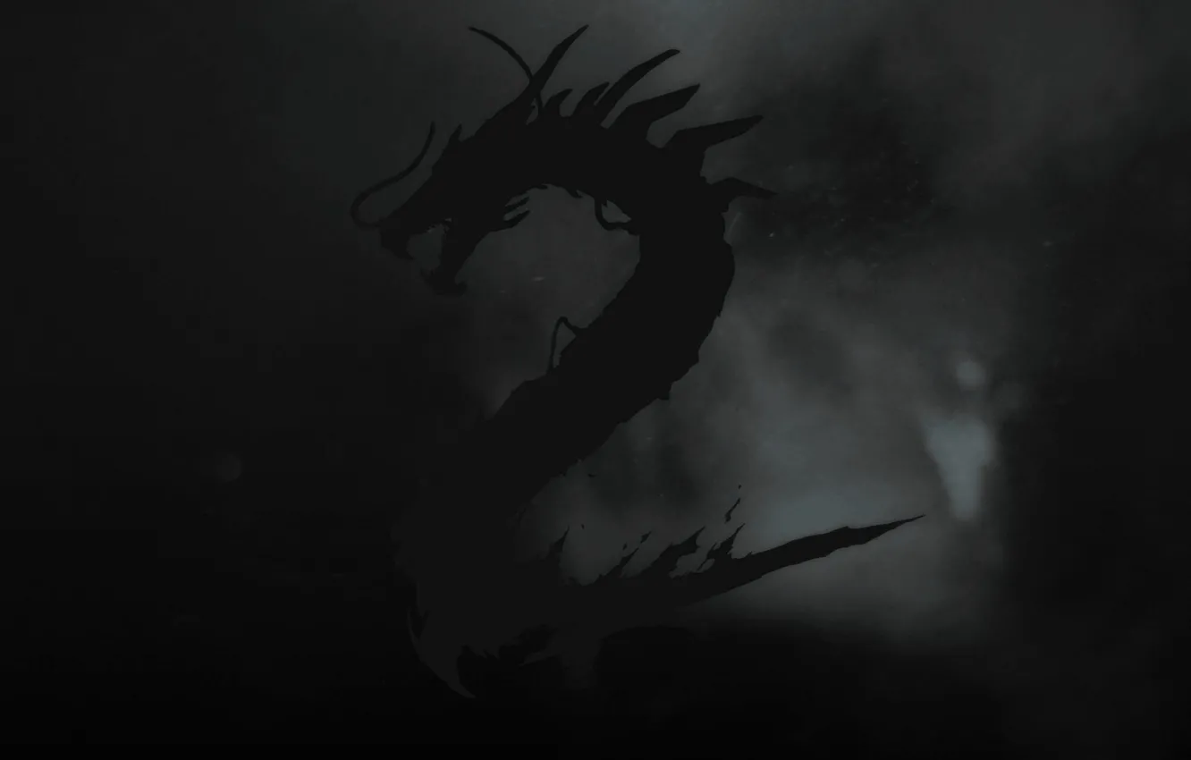 Photo wallpaper dragon, the game, Shadow Warrior