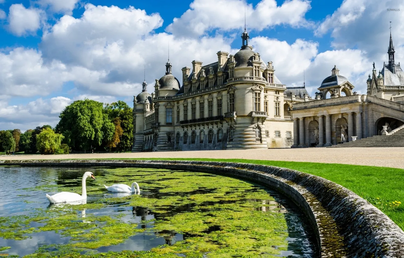 Photo wallpaper summer, pond, castle, France, swans, Palace, french, Chantilly castle