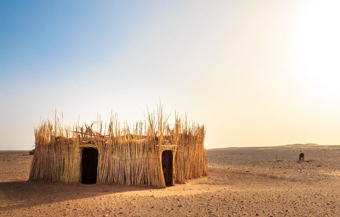 Photo wallpaper nature, desert, hut, Morocco, the Western Sahara Desert