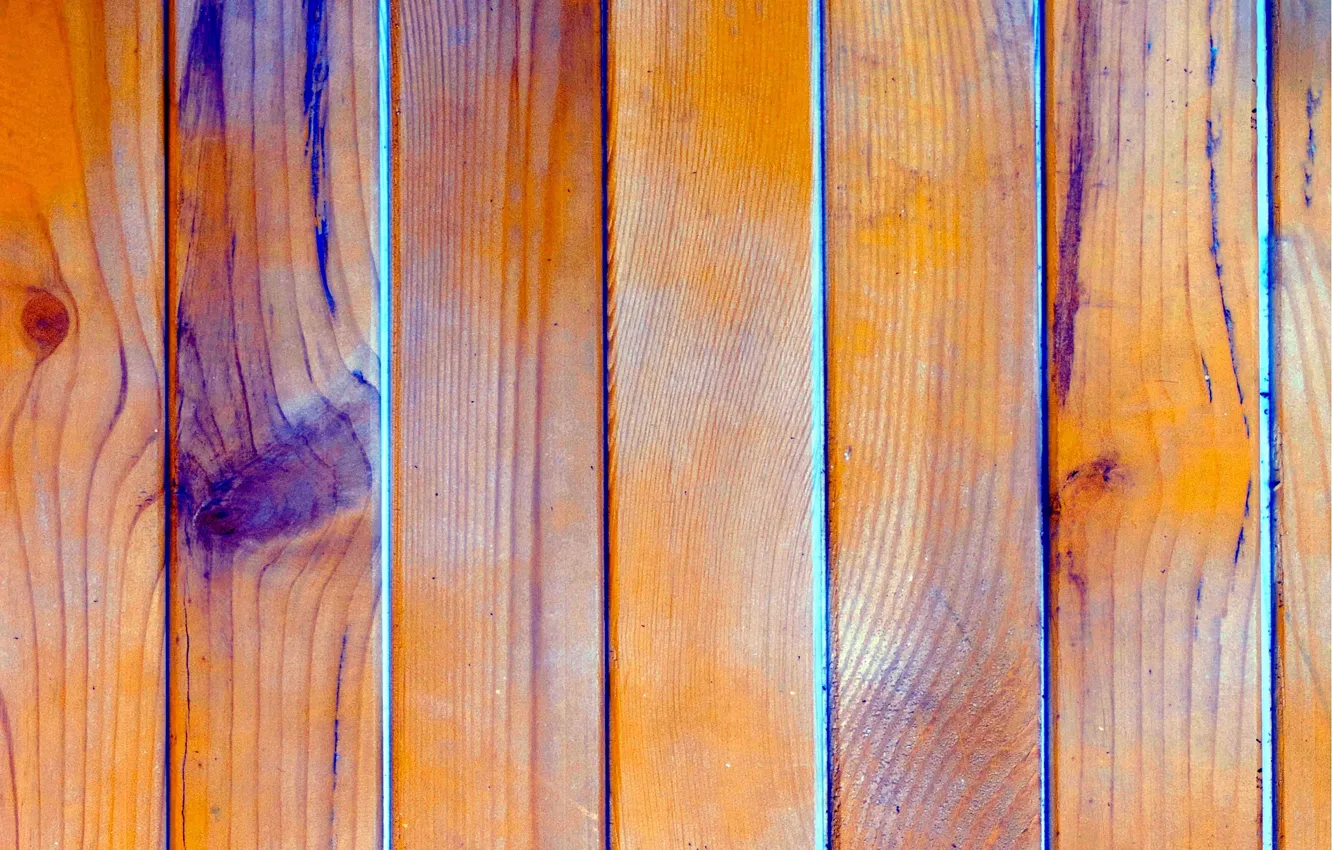 Photo wallpaper trees, color, texture
