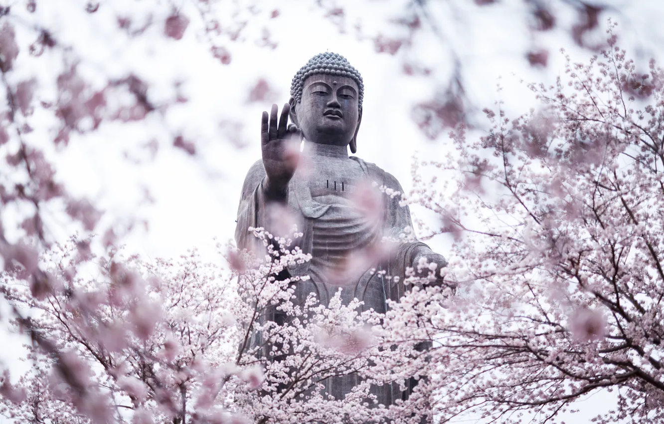 Photo wallpaper trees, city, the city, Japan, garden, Sakura, statue, Japan