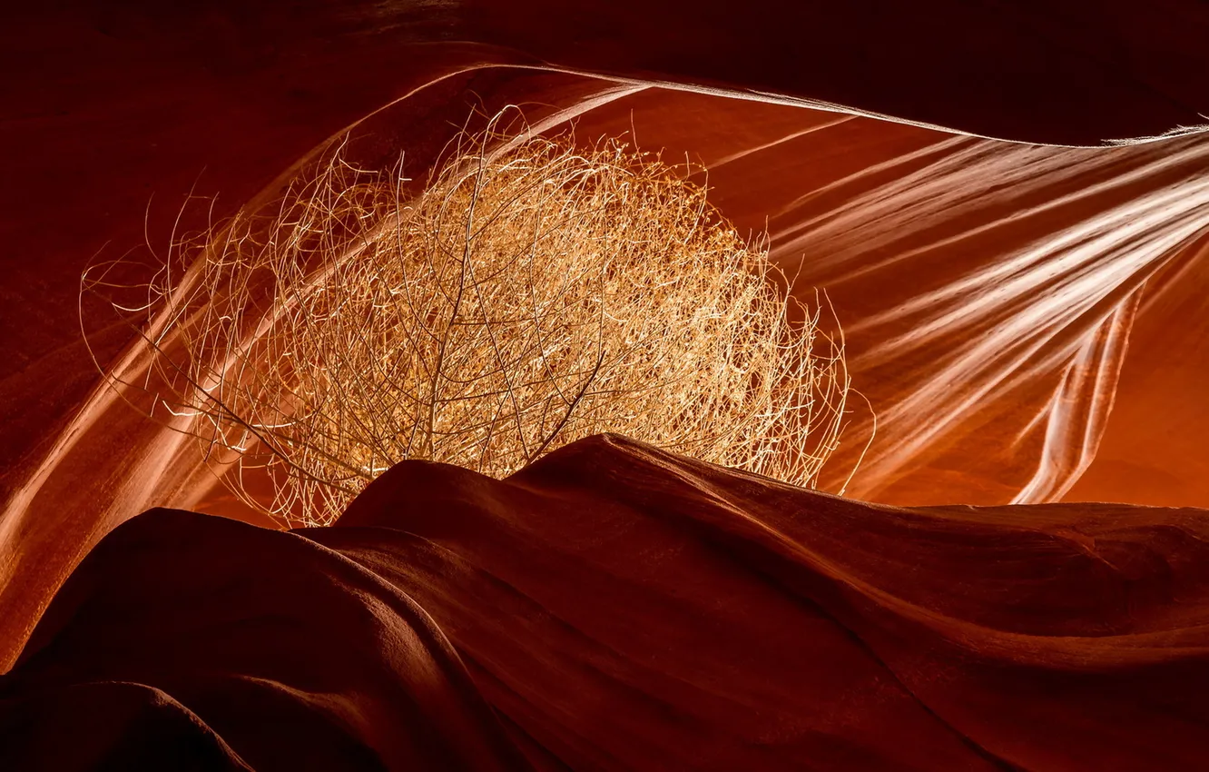 Photo wallpaper nature, color, antelope canyon