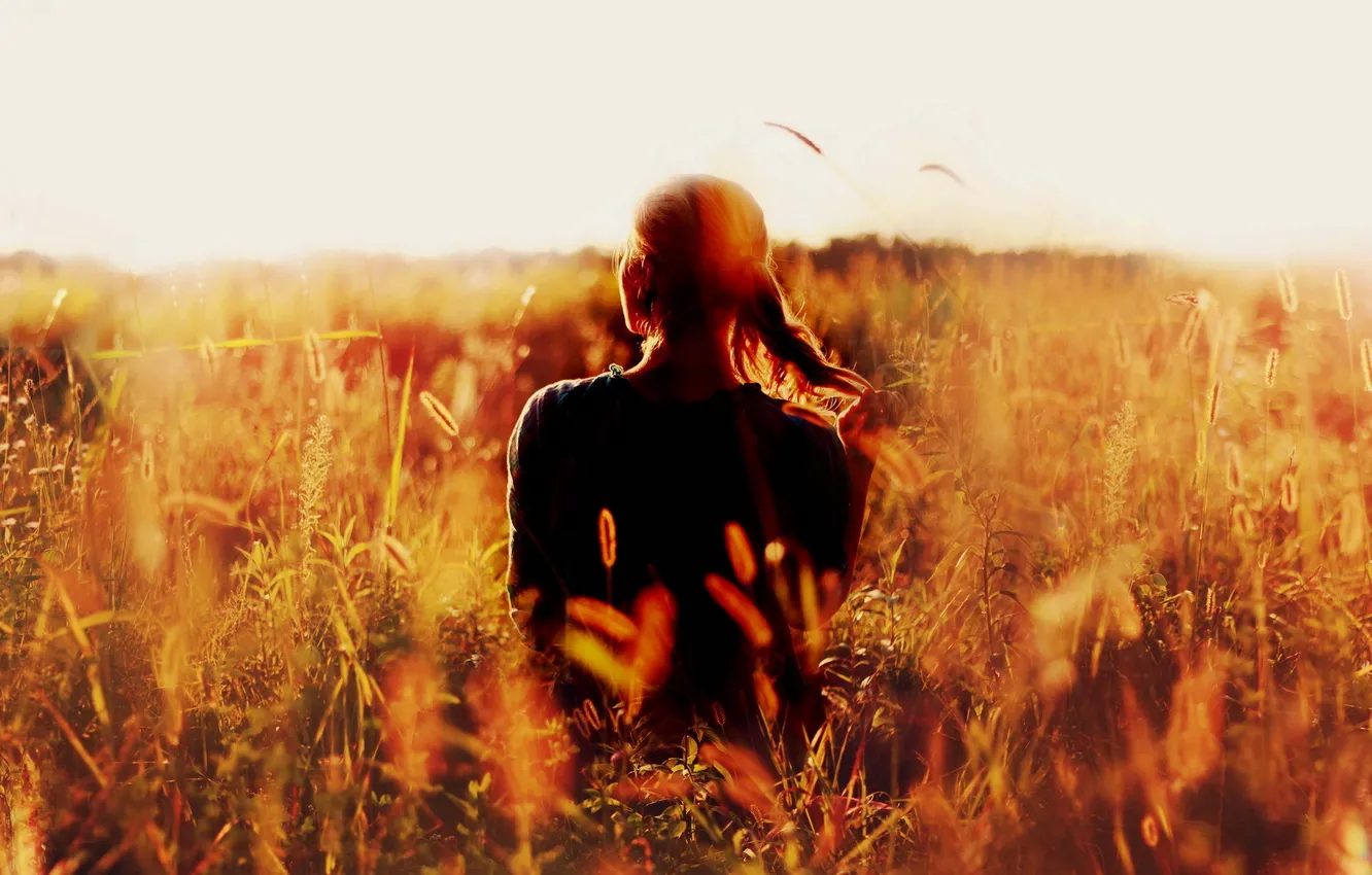 Photo wallpaper field, summer, light, mood, ears