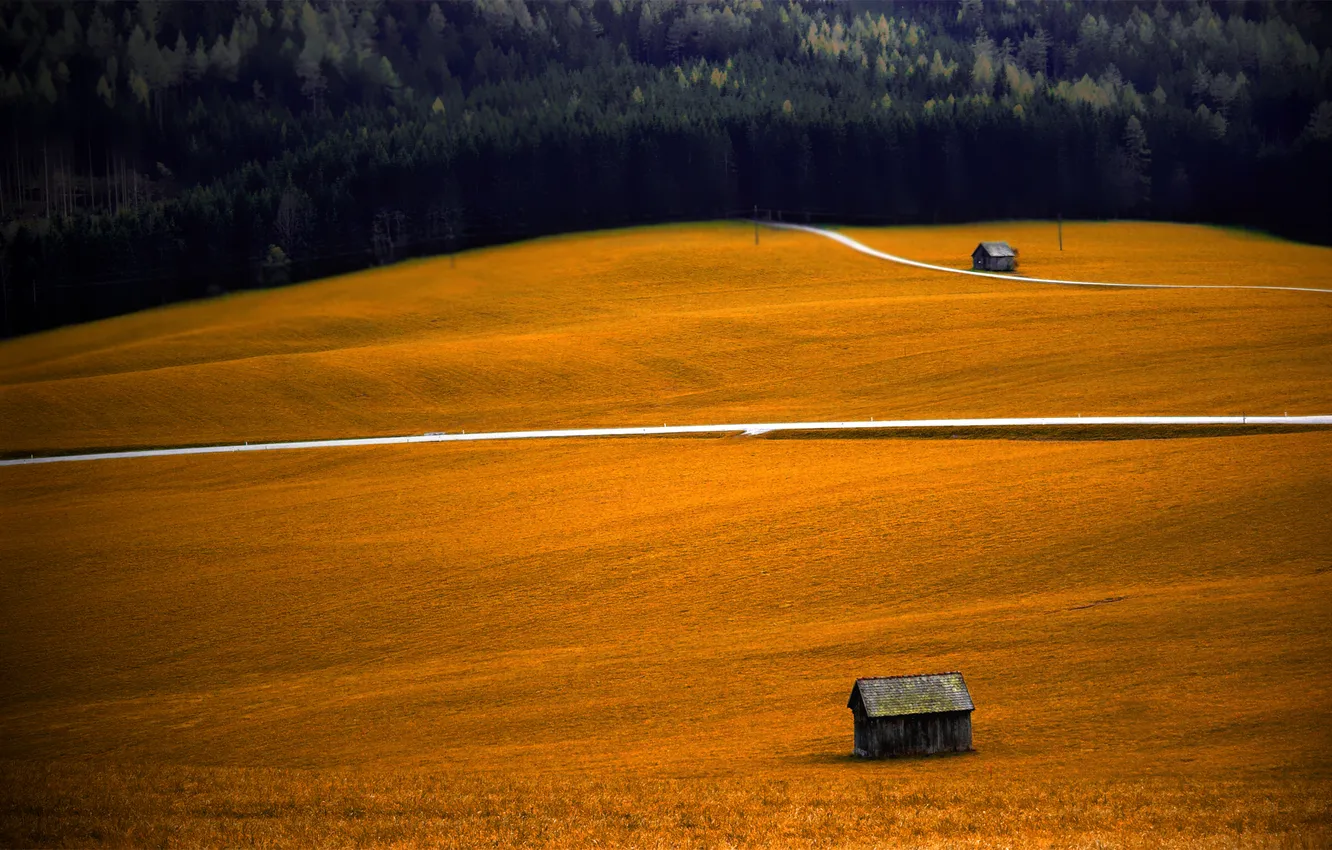 Photo wallpaper field, autumn, forest, trees, landscape, photo, Wallpaper, home