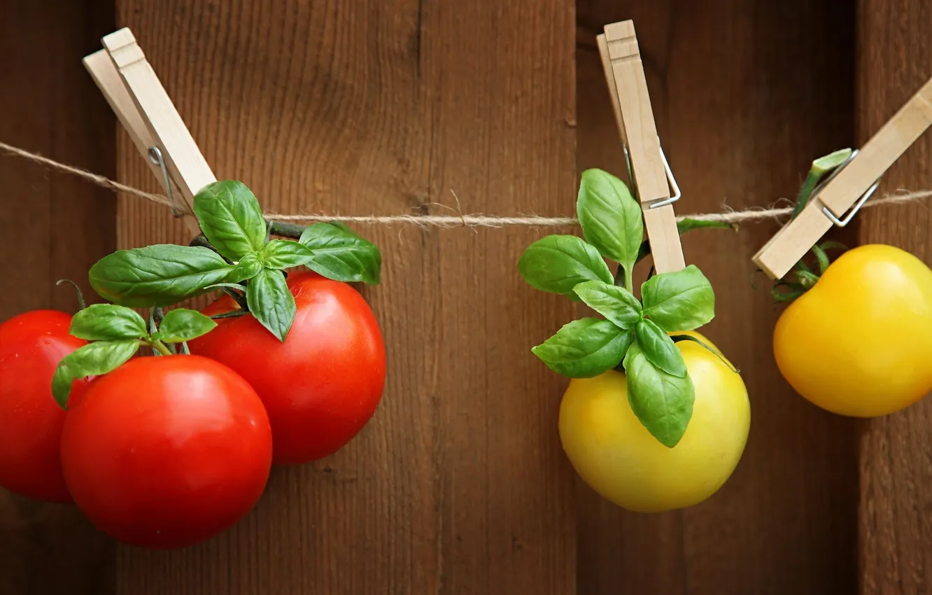 Photo wallpaper tomatoes, twine, clothespins, tomatoes