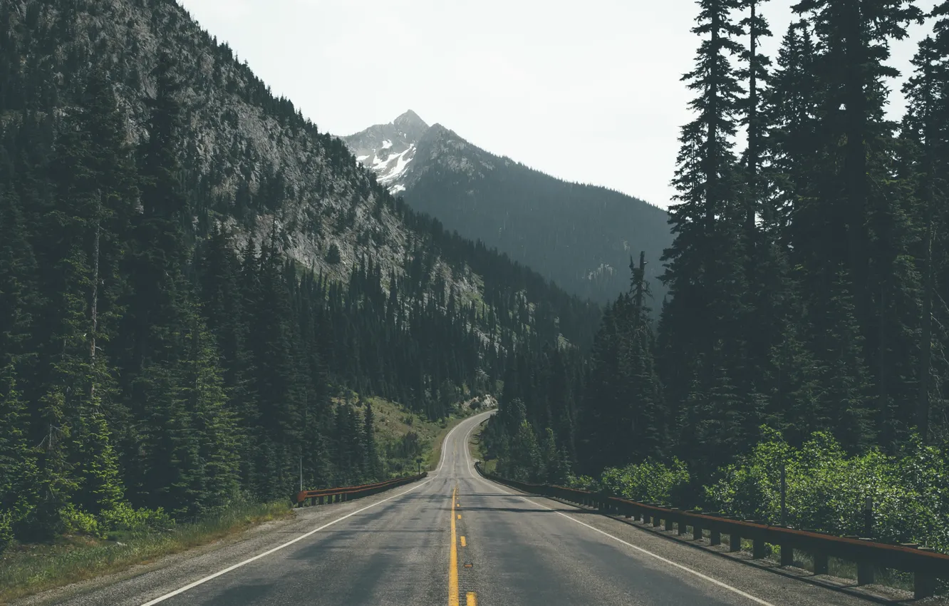 Photo wallpaper road, forest, trees, mountains, ate, pine