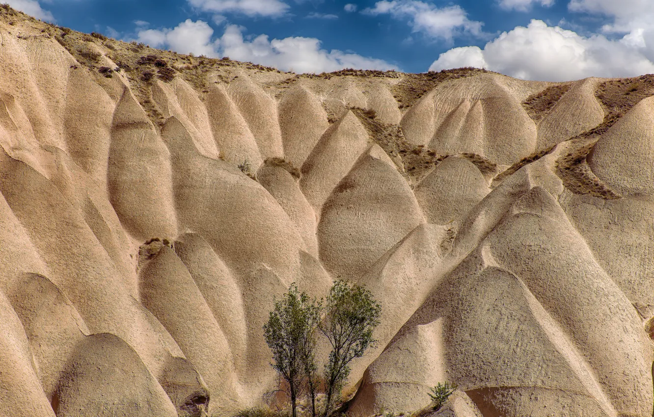 Photo wallpaper sand, the sky, trees, hills, Turkey, Cappadocia