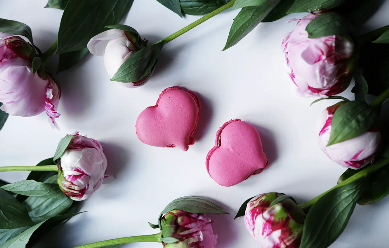 Photo wallpaper heart, peonies, macaroon