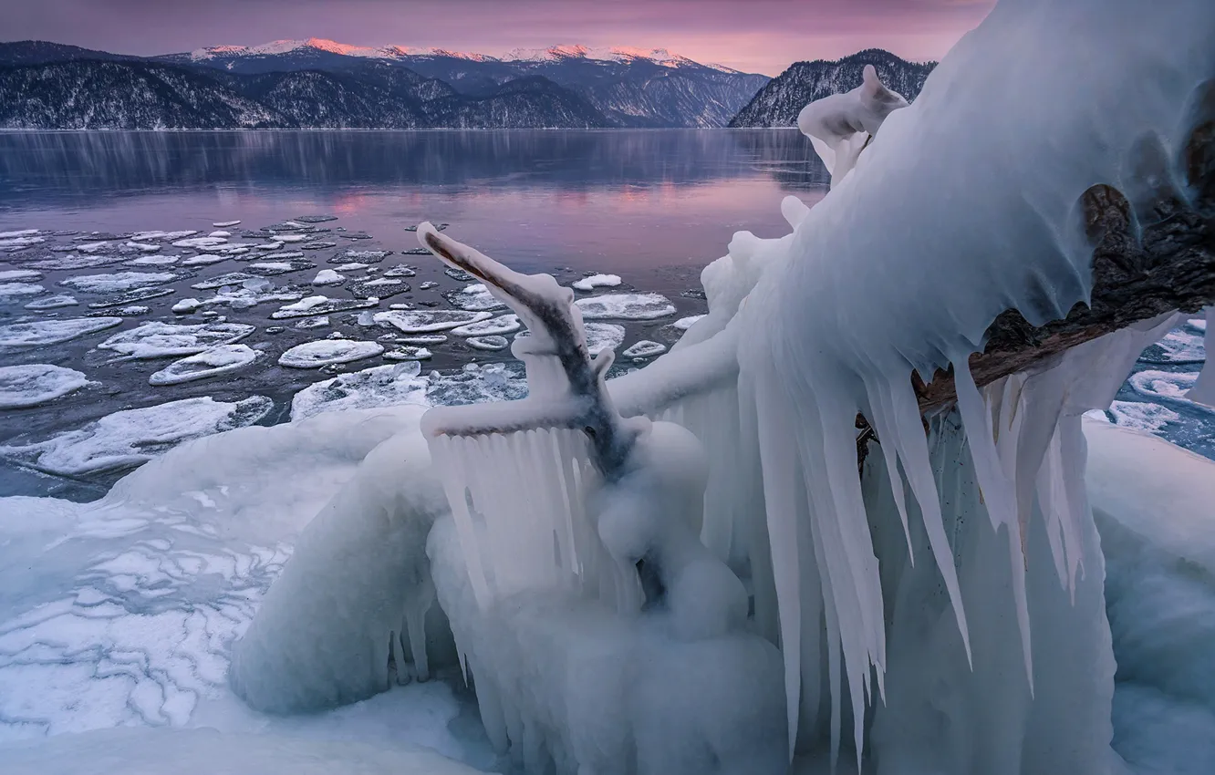 Photo wallpaper ice, winter, snow, nature
