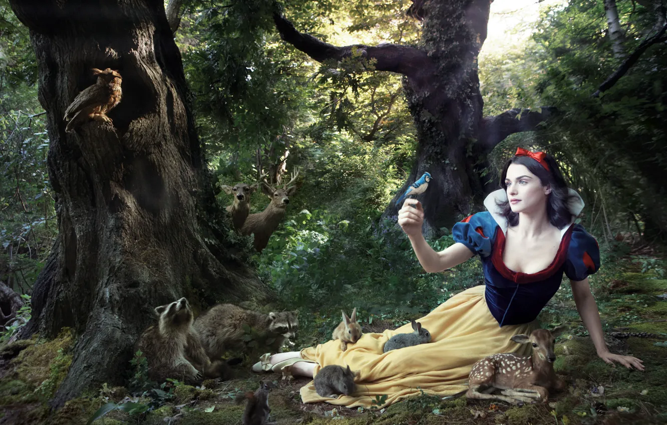 Photo wallpaper tale, Rachel Weisz, Rachel Weisz, snow white, snow white and the seven dwarfs