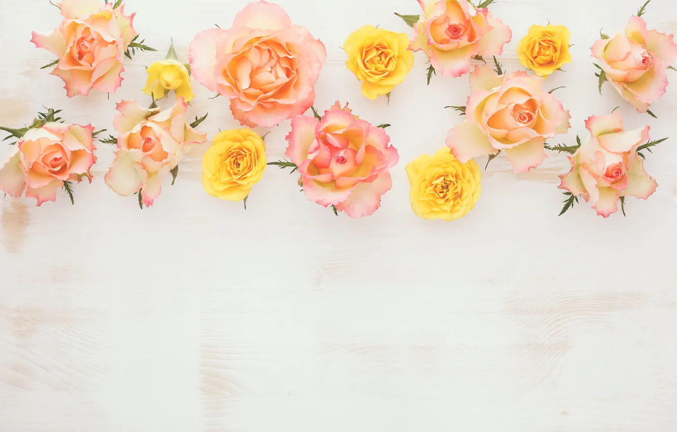 Photo wallpaper wood, flowers, roses