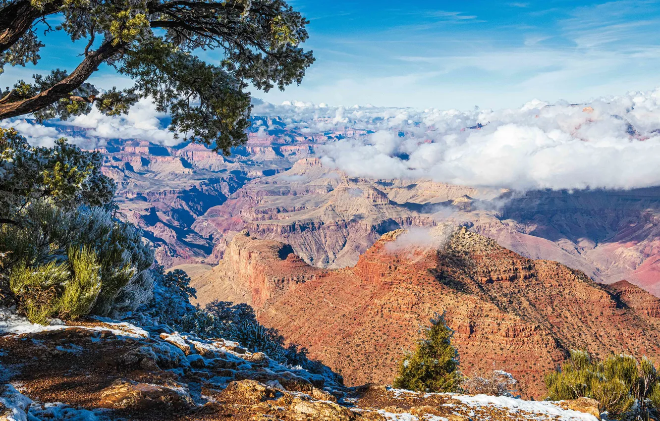 Photo wallpaper rocks, canyon, AZ, USA, Grand Canyon