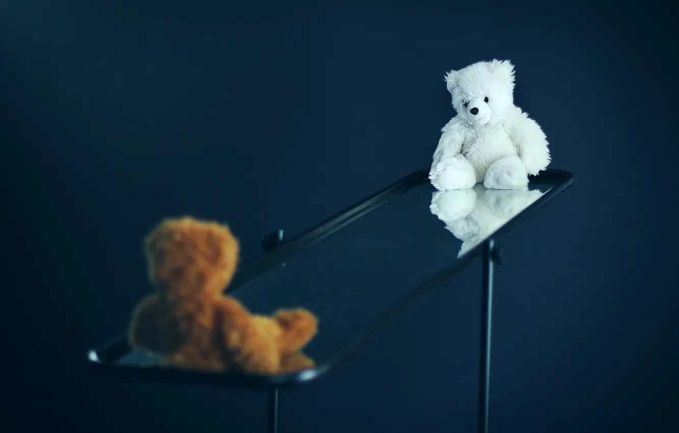 Photo wallpaper swing, toy, bear