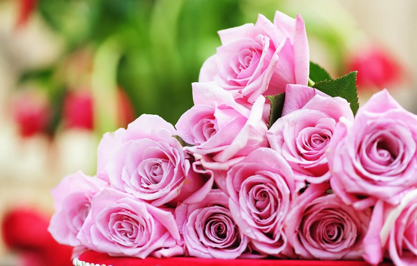 Photo wallpaper roses, bouquet, buds