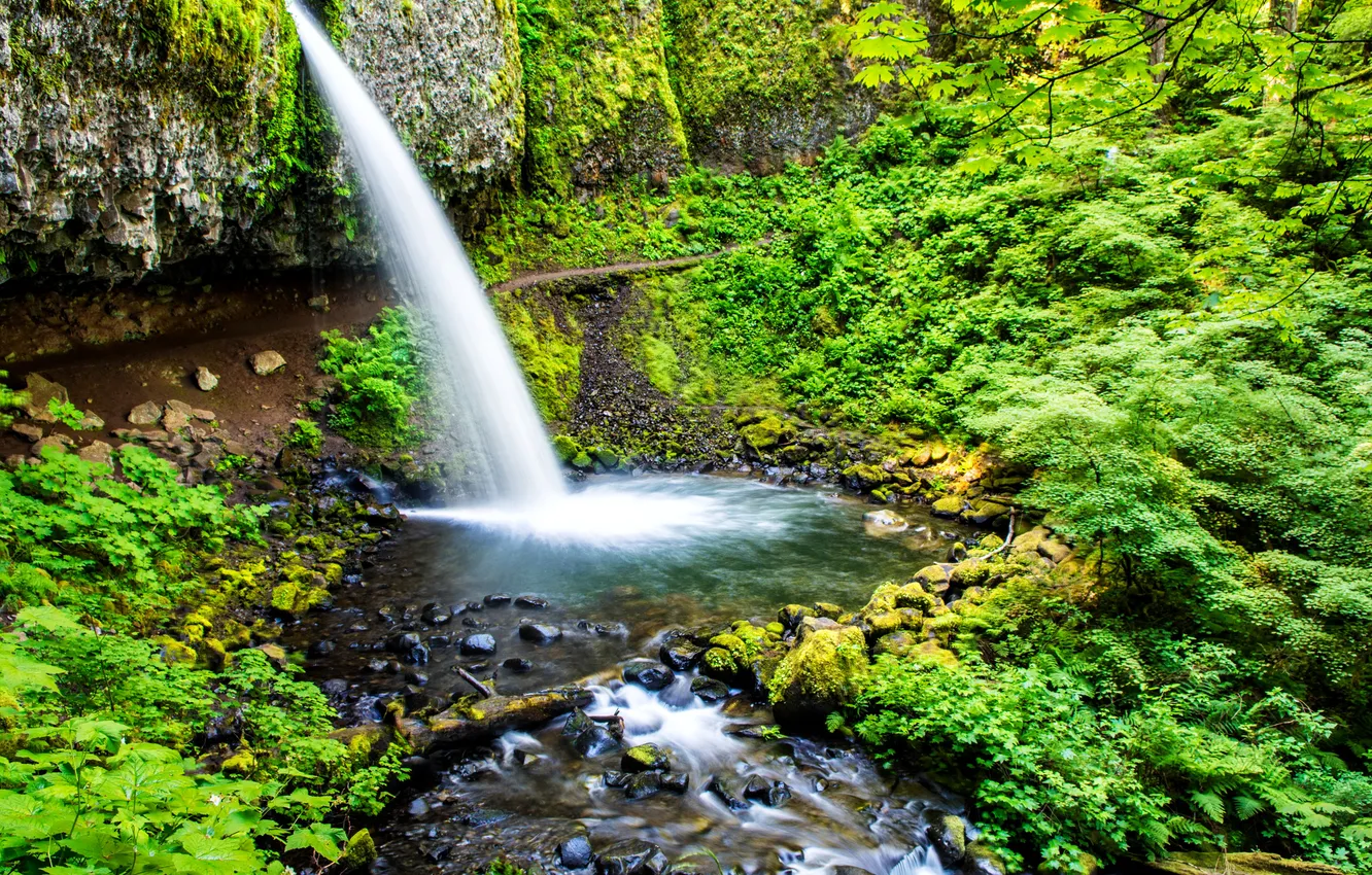 Photo wallpaper greens, stones, waterfall, moss, USA, Oregon, Ponytail Falls