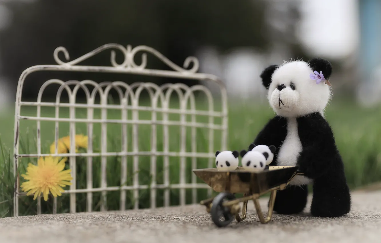 Photo wallpaper grass, nature, childhood, background, black and white, toy, the fence, bear
