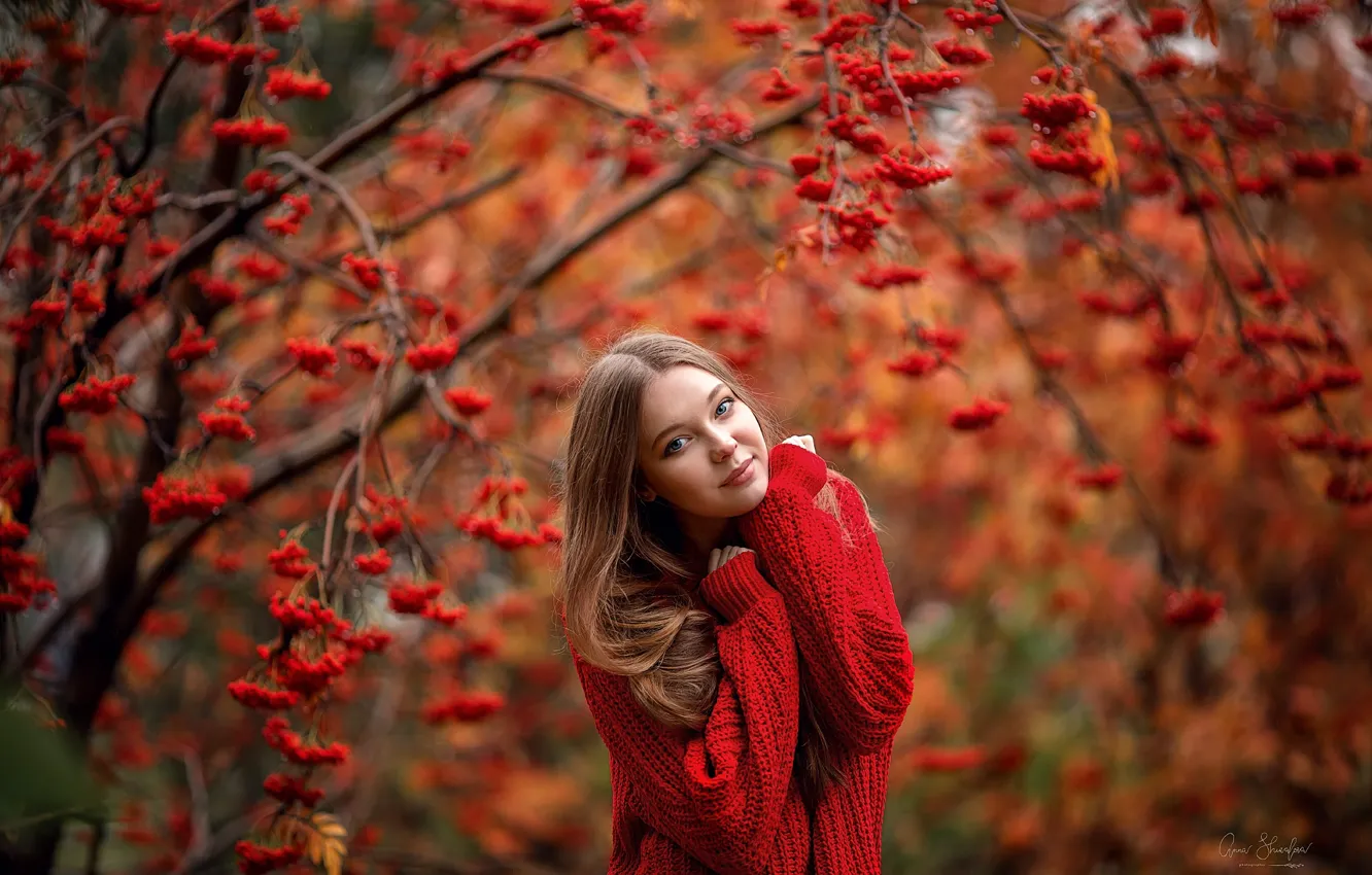 Photo wallpaper autumn, in red, Rowan, sweater, Anna Shuvalova