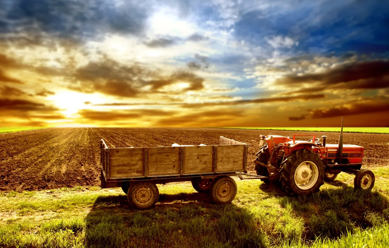 Photo wallpaper field, the sky, tractor, cart