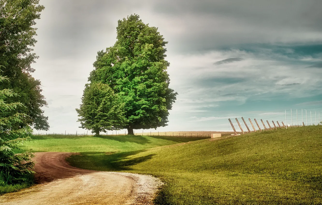 Photo wallpaper road, field, trees, path