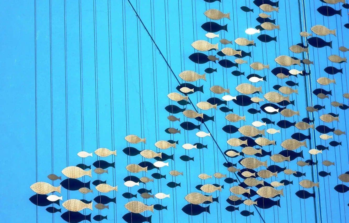 Photo wallpaper fish, the volume, saver, thread