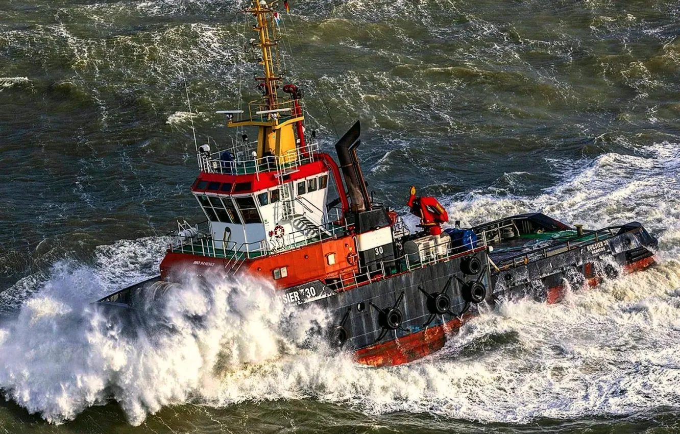 Photo wallpaper storm, element, fight, tug