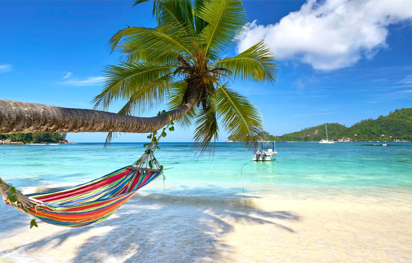 Photo wallpaper sand, sea, beach, the sun, palm trees, shore, hammock, summer