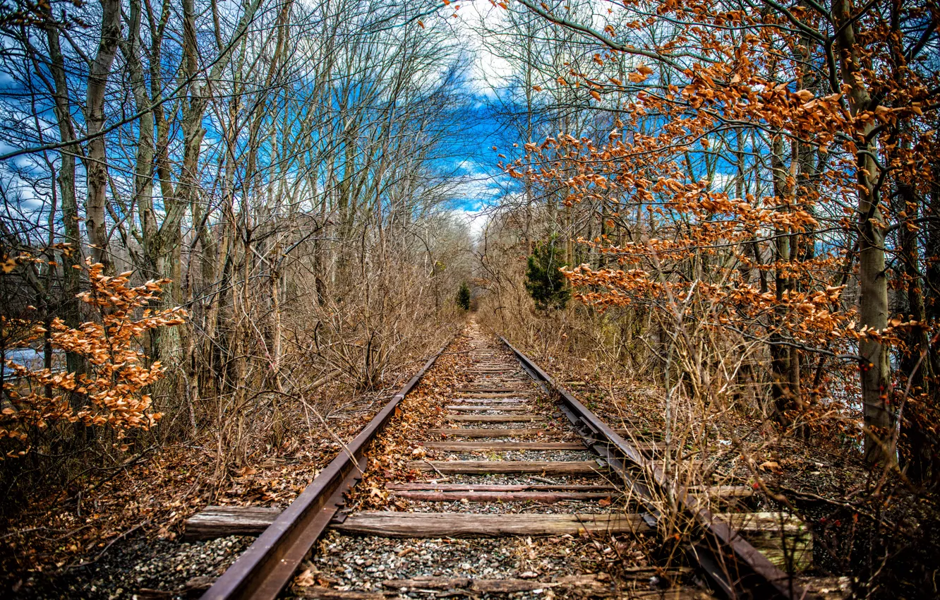 Photo wallpaper nature, spring, railroad