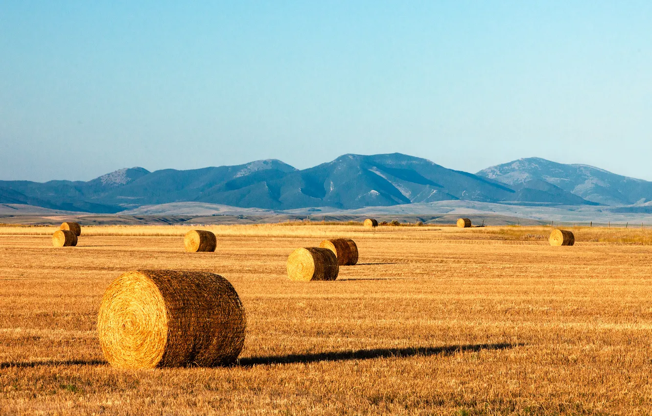 Photo wallpaper field, mountains, the fence, shadow, hay, the countryside, farm