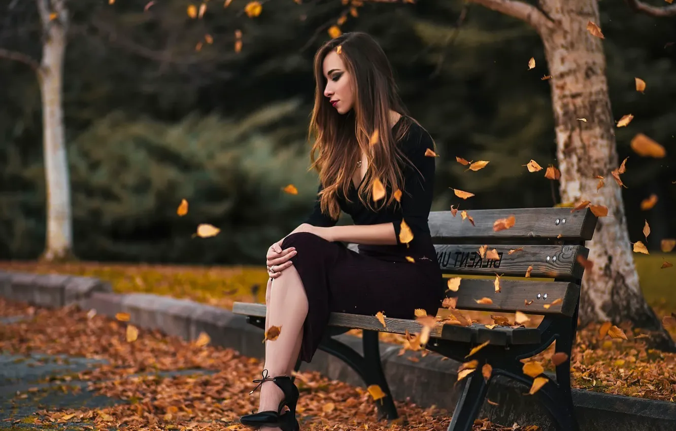 Photo wallpaper black dress, Park, bench, the wind, leaves, girl, depth of field, long hair