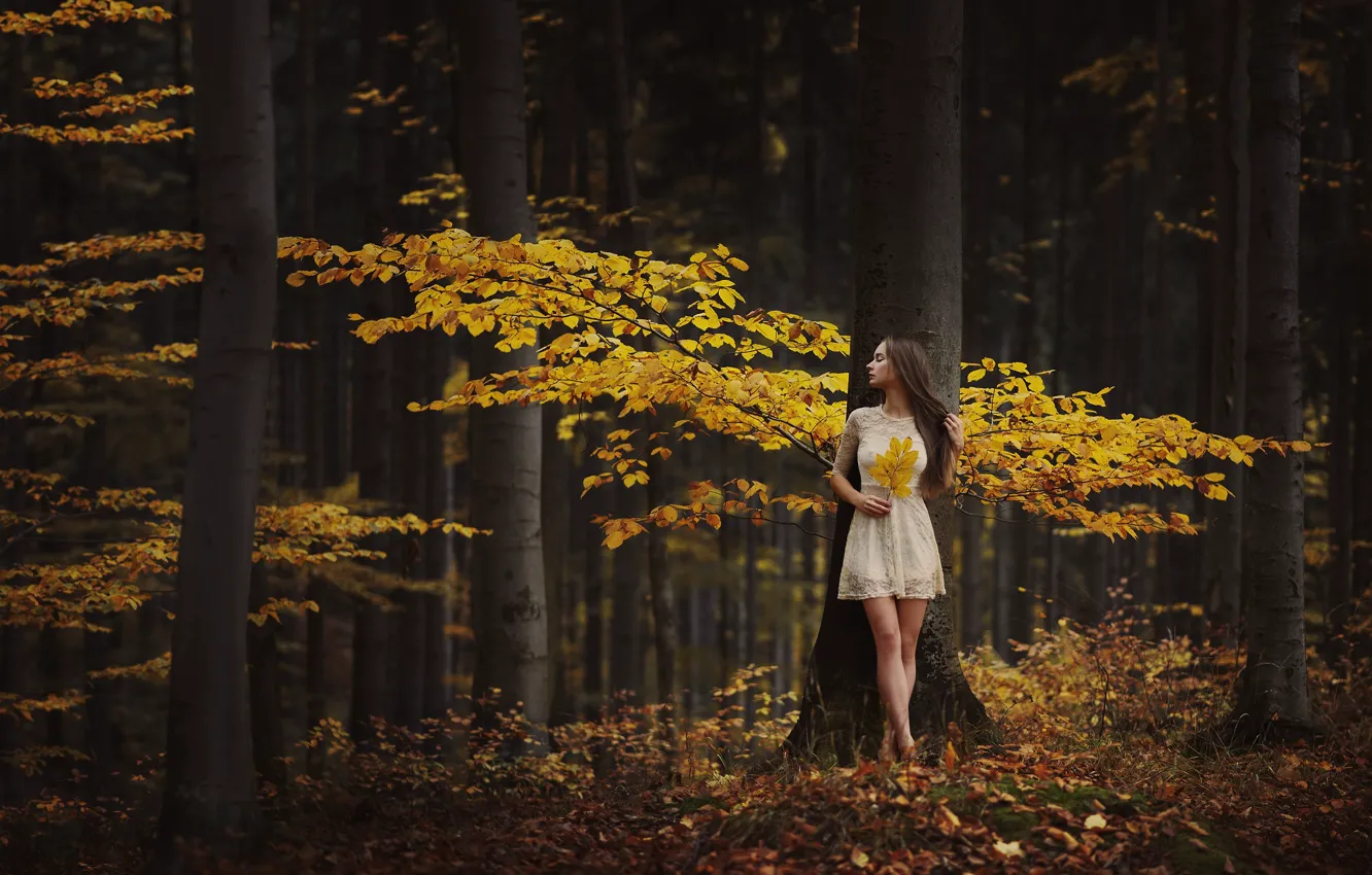 Photo wallpaper autumn, forest, girl