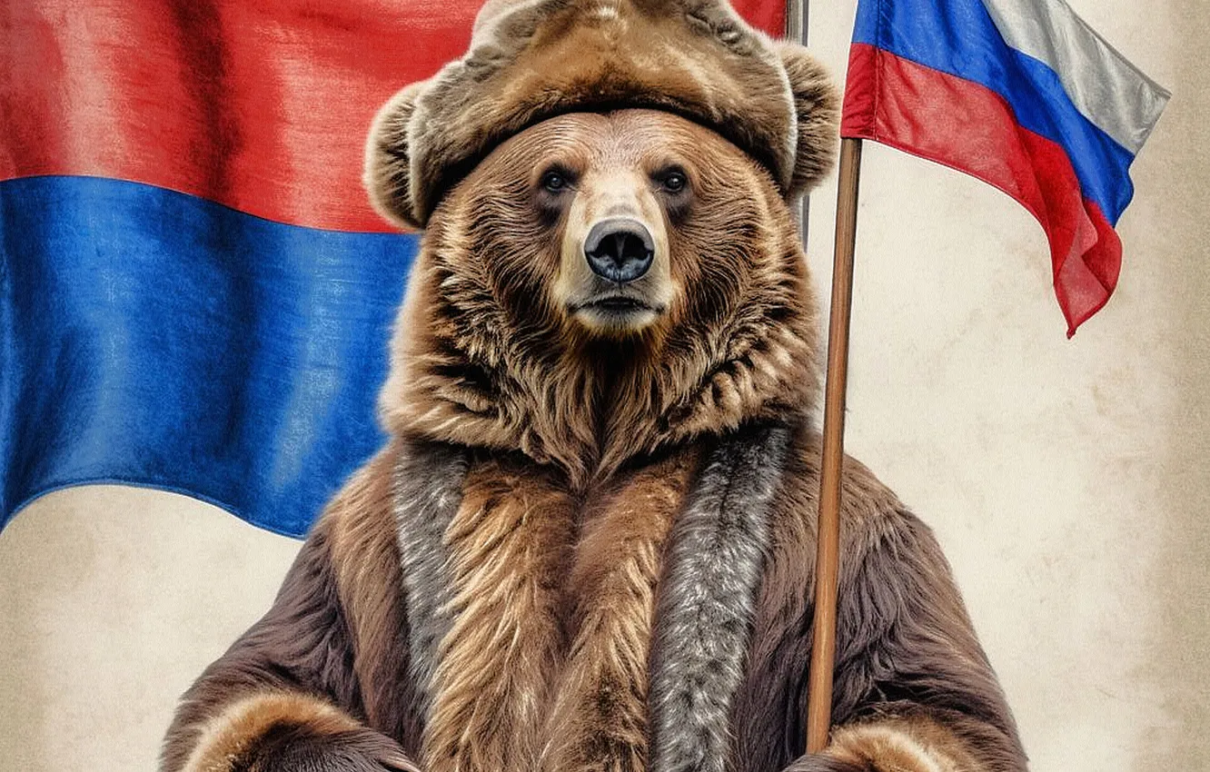 Photo wallpaper look, face, flag, bear, bear, fur, Russia, tricolor