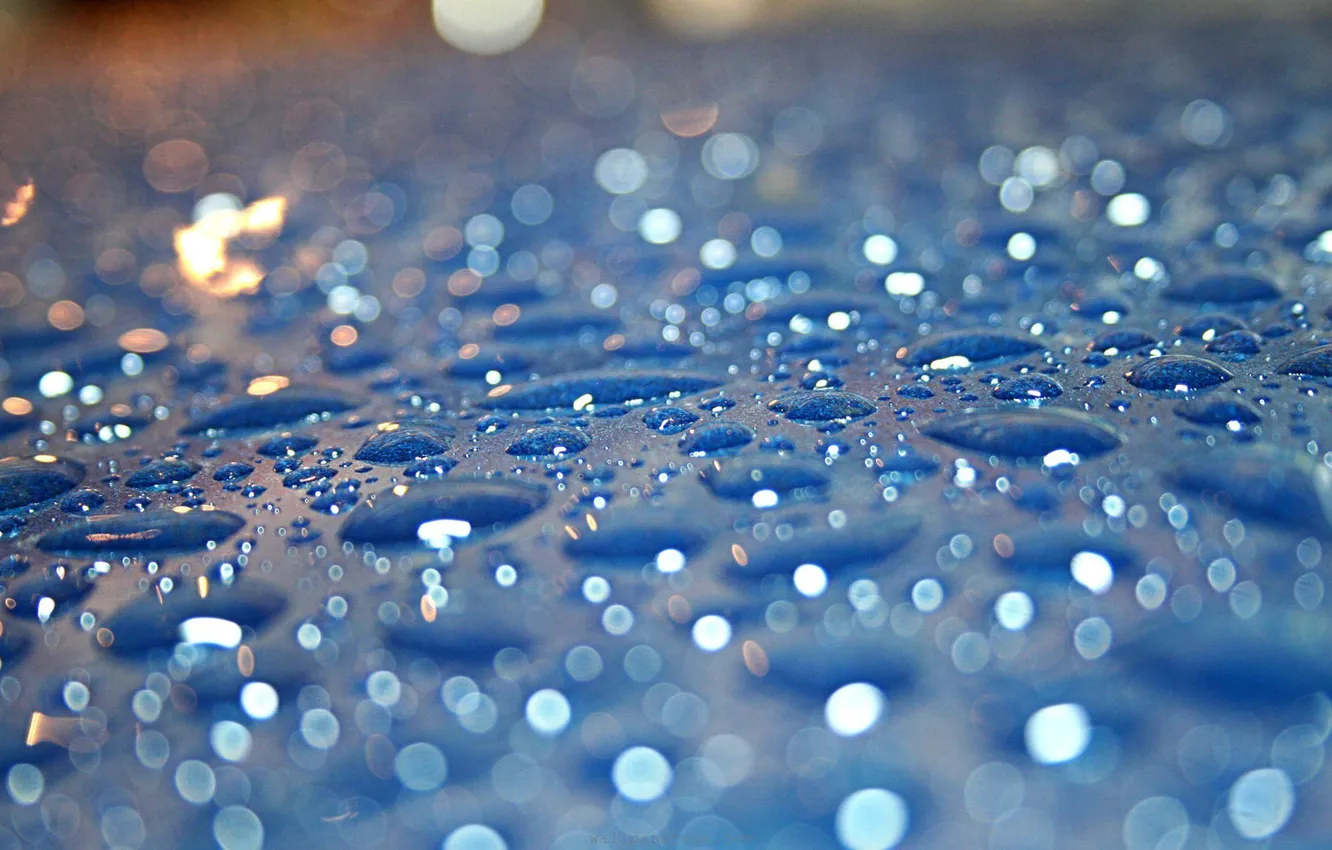 Photo wallpaper water, drops, surface