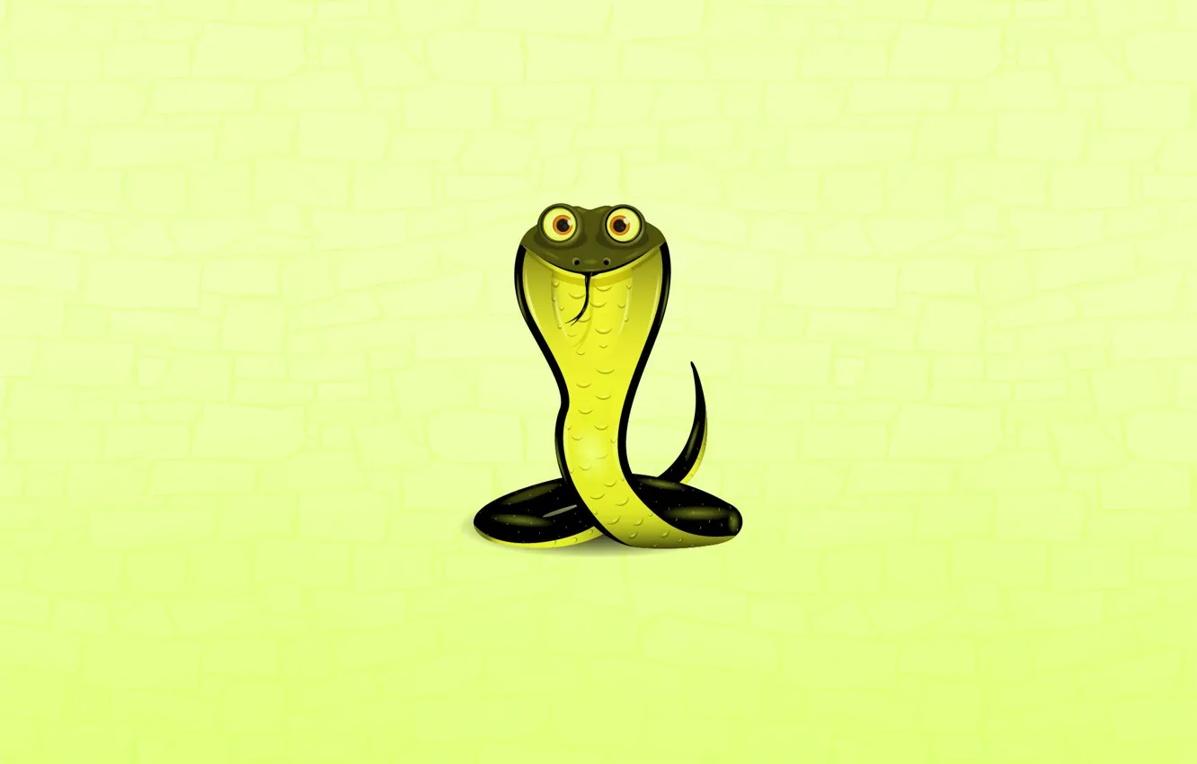 Photo wallpaper snake, minimalism, Cobra, eyed, green background, cobra