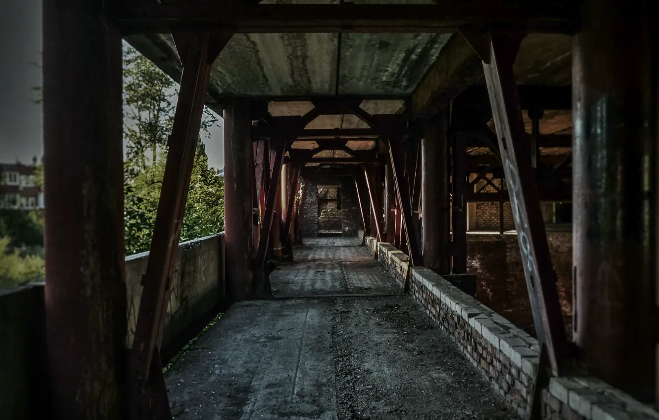 Photo wallpaper summer, corridor, out of the city