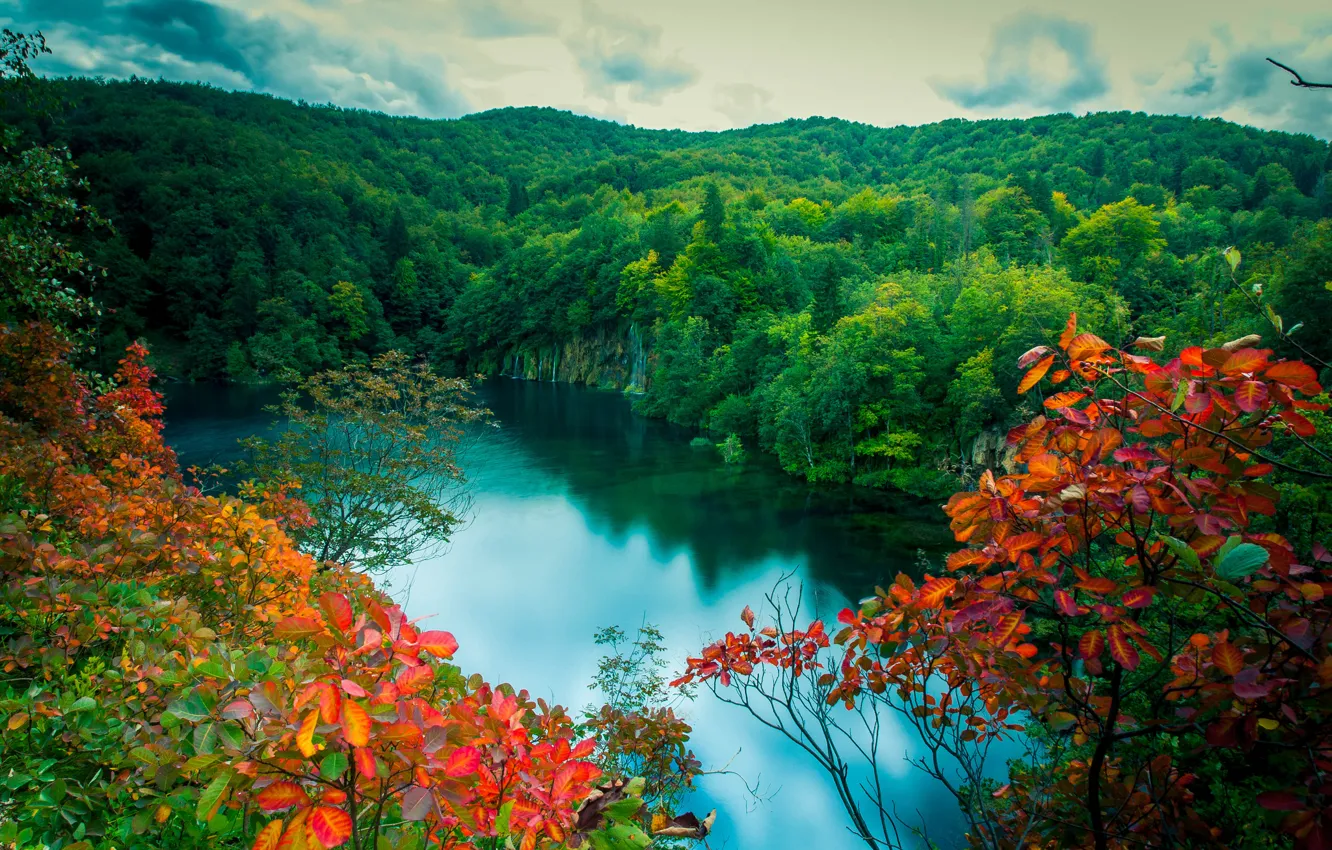 Photo wallpaper forest, leaves, red, lake, branch