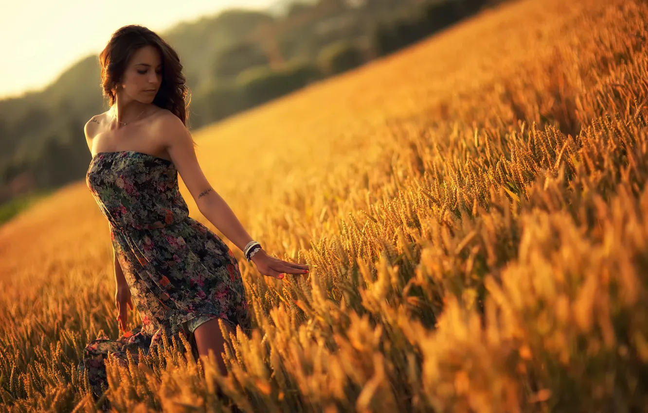 Photo wallpaper field, summer, girl, sunset, dress