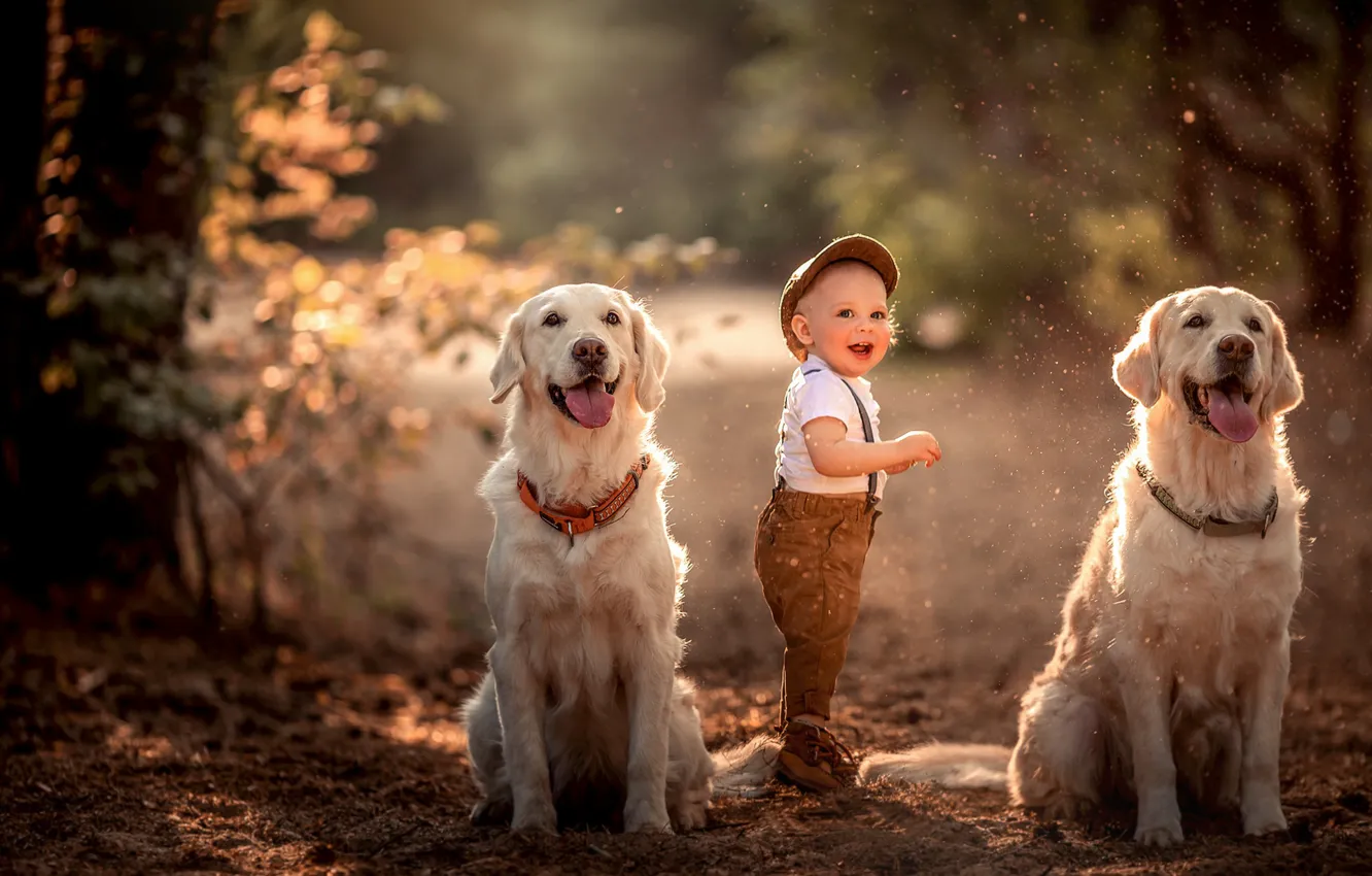 Photo wallpaper dogs, mood, boy, child, two dogs
