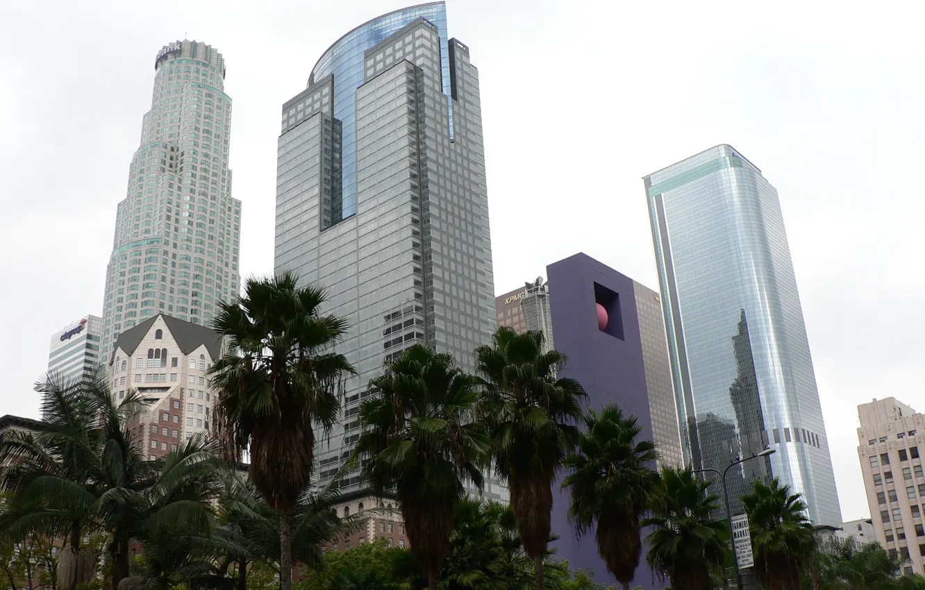 Photo wallpaper city, USA, Los Angeles, California, Downtown, palms