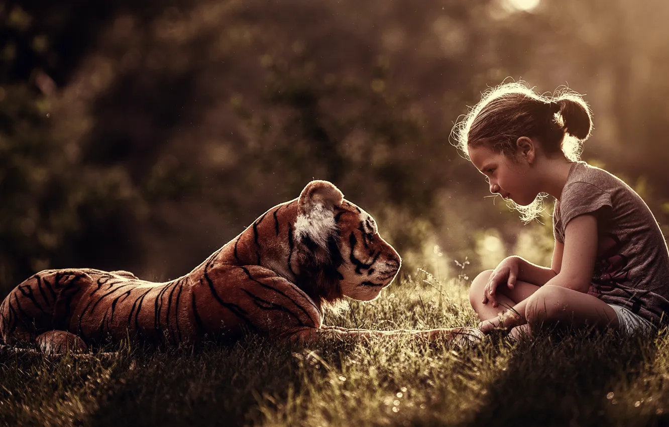 Photo wallpaper forest, grass, rays, light, children, tiger, Park, glade