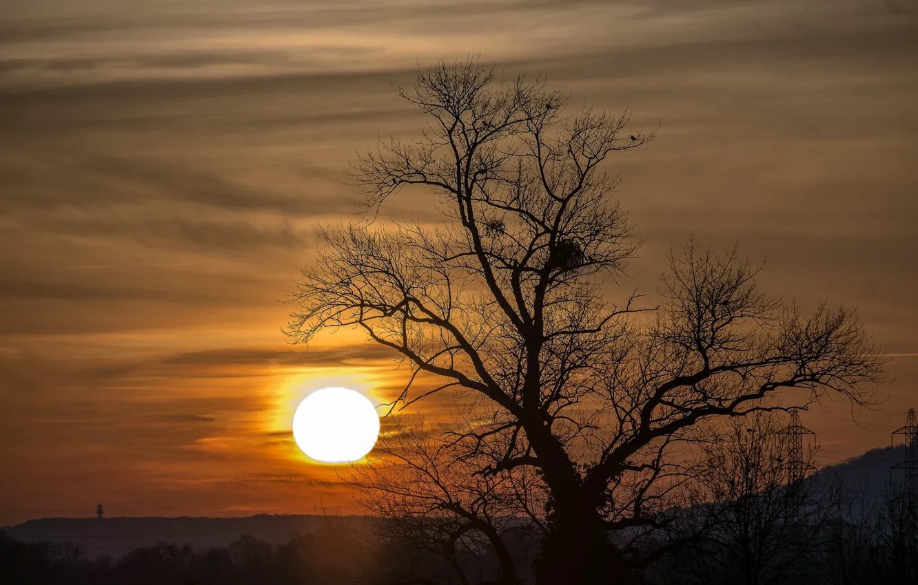 Photo wallpaper landscape, sunset, the evening