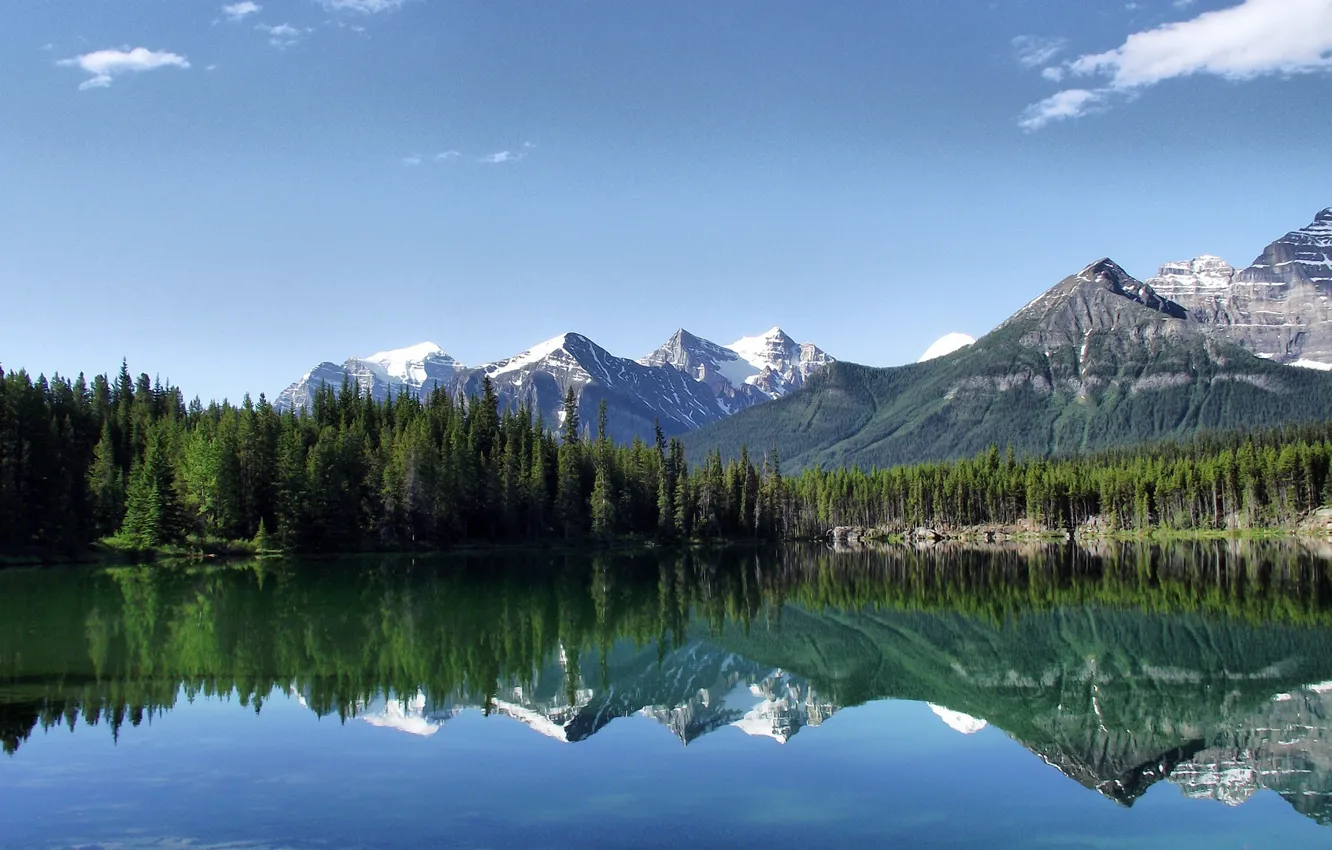 Photo wallpaper forest, water, trees, mountains