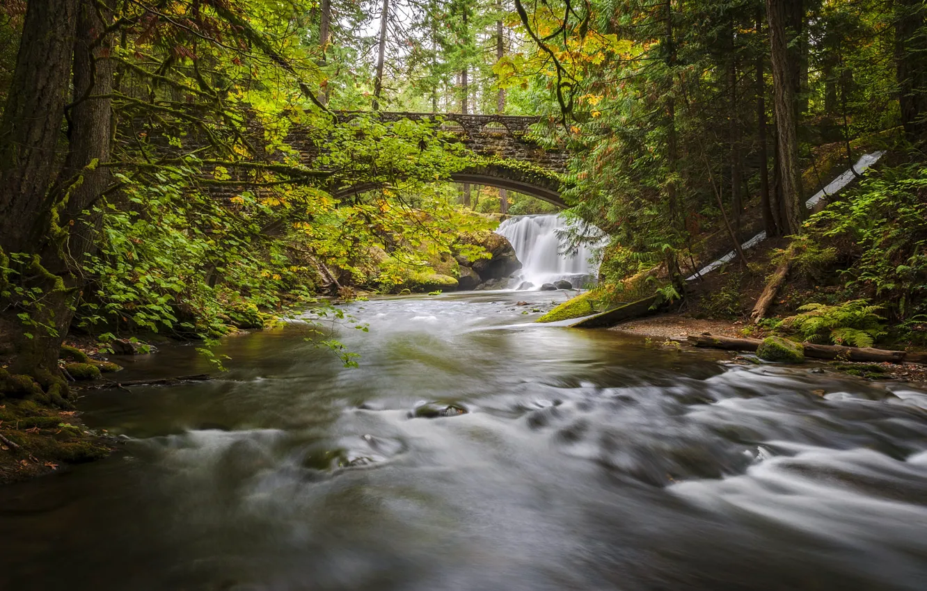 Wallpaper USA, Bellingham, Washington state, Whatcom falls park for ...